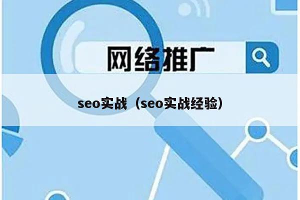 SEO丨如何快速提高百度收录 (seo丨如何)