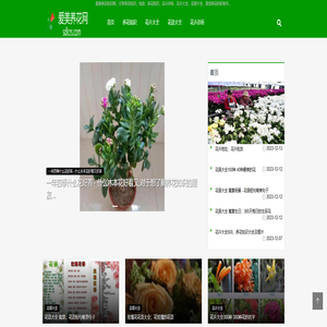 爱美养花知识网首页 - 分享养花知识、花卉大全等知识「轻松养花」