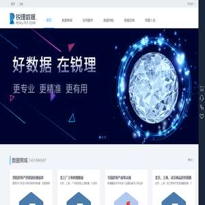 首页 - 锐理数据