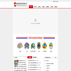 重庆思影科技有限公司