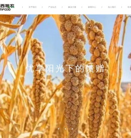 陕西粮农谷添力生态农业有限责任公司