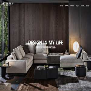 深圳市爱莎妮尔家具有限公司