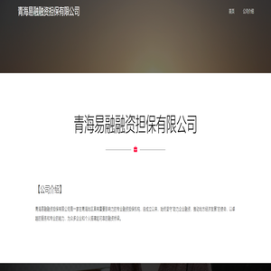 青海易融融资担保有限公司