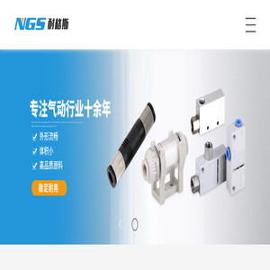 乐清市耐格斯气动有限公司