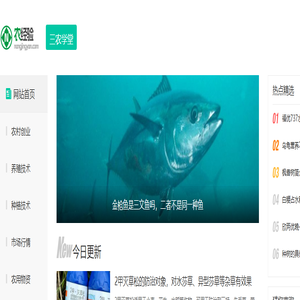 农经验 - 三农实用指南