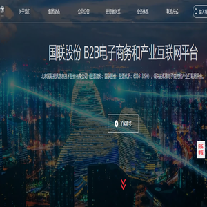 国联股份_北京国联视讯信息技术股份有限公司